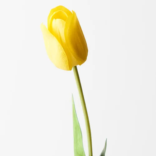 Tulip Yellow 69cml