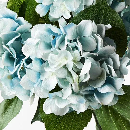 Hydrangea Bush Cloud Blue 46cml