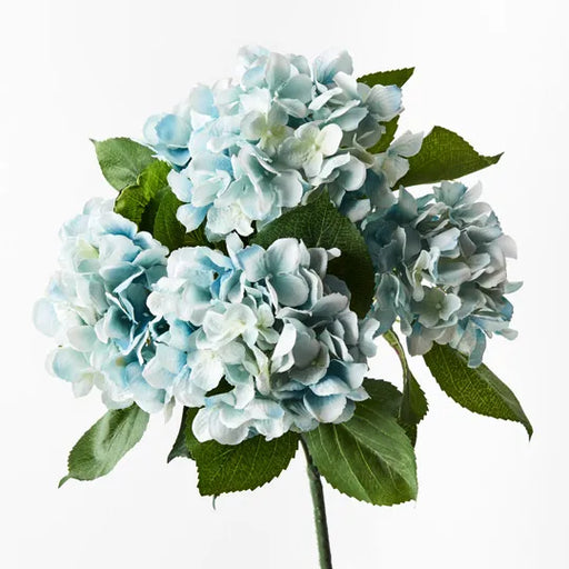 Hydrangea Bush Cloud Blue 46cml