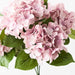 Hydrangea Bush Dusty Pink 46cml