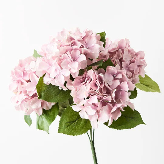 Hydrangea Bush Dusty Pink 46cml