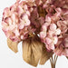 Hydrangea Bush Dusty Pink Cream 41cml