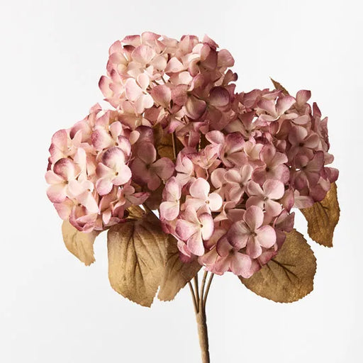 Hydrangea Bush Dusty Pink Cream 41cml