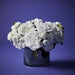 Peony Bouquet Winter White 35cml