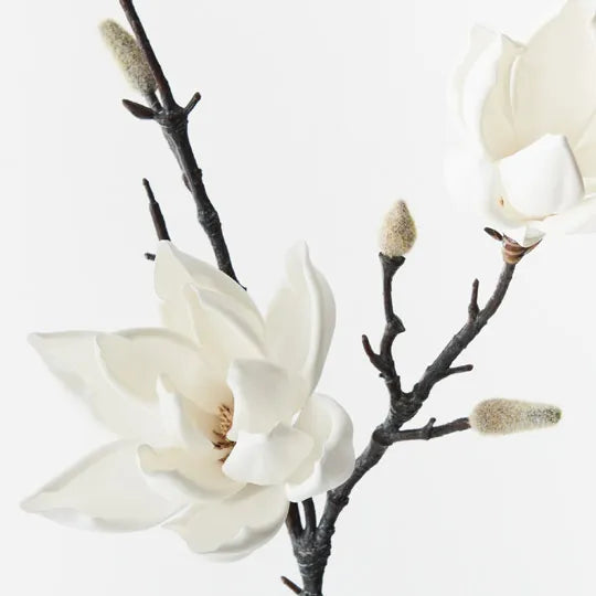 Magnolia Japanese Spray White 79cml