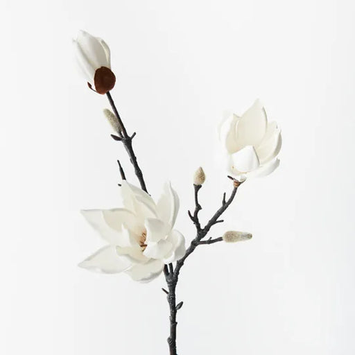 Magnolia Japanese Spray White 79cml