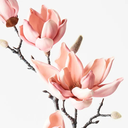 Magnolia Japanese Spray Pink 100cml