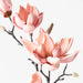 Magnolia Japanese Spray Pink 100cml