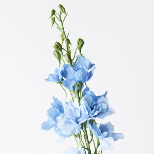 Delphinium Light Blue 90cml