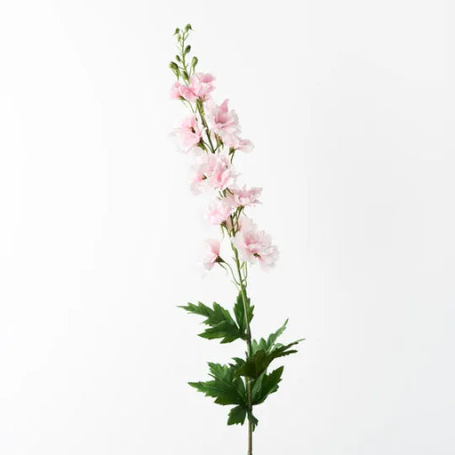 Delphinium Light Pink 90cml