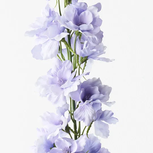 Delphinium Lavender 90cml