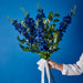 Delphinium Royal Blue 90cml