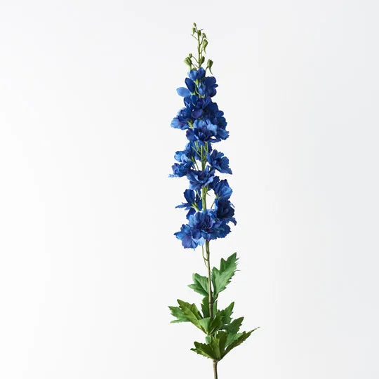 Delphinium Royal Blue 90cml