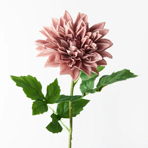 Dahlia Dusty Pink 71cml