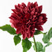 Dahlia Dark Red 71cml