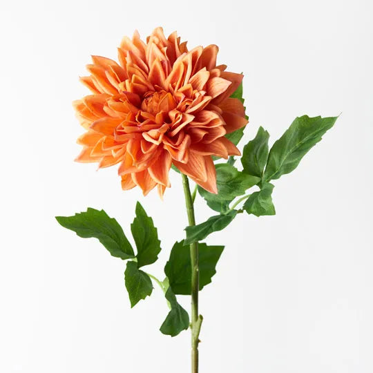 Dahlia Orange 71cml