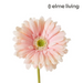 Ronis Gerbera Daisy Stem Soft Pink 13x13x53cm