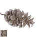 Ronis Glitter Pinecone Picks 46cm Champagne