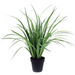 Grass W/ Black Pot 77cm