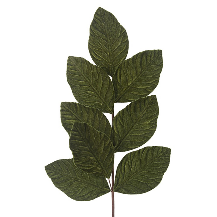 Ronis Green Magnolia Leaf Stem 68cm