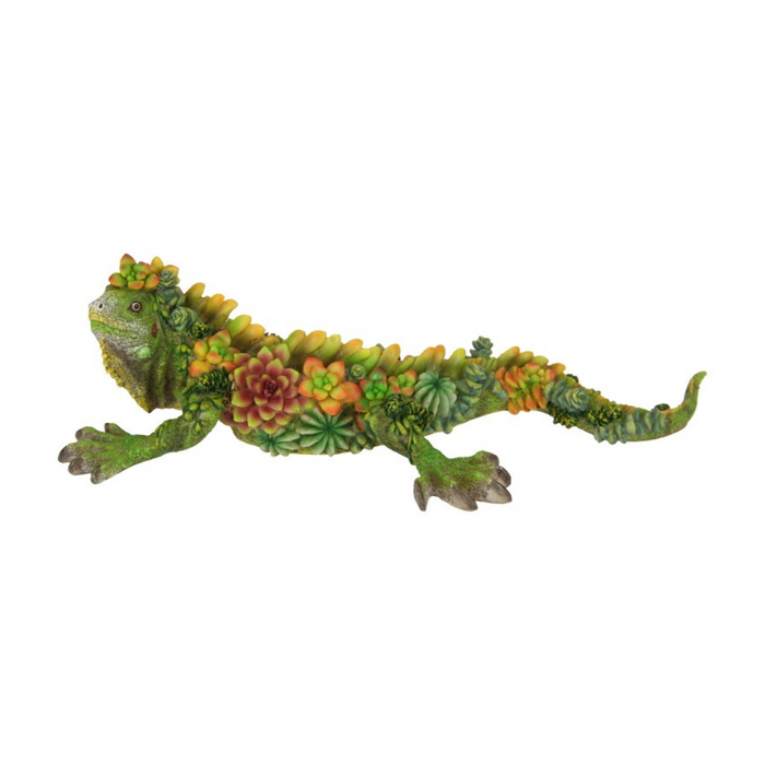 Ronis Long Lizard with Succulent Finish 31cm