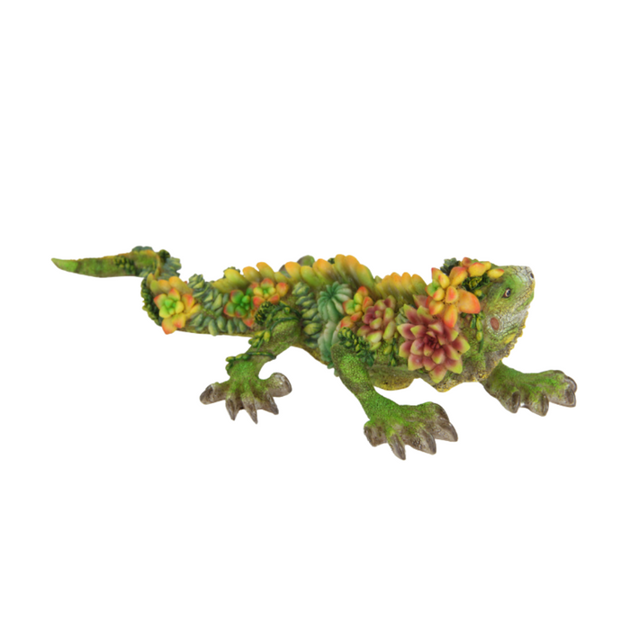 Ronis Long Lizard with Succulent Finish 31cm