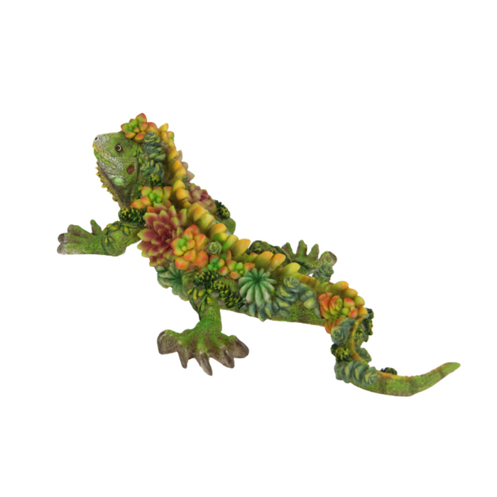 Ronis Long Lizard with Succulent Finish 31cm