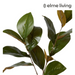 Ronis Magnolia Leaf Spray Green 25x16x76cm