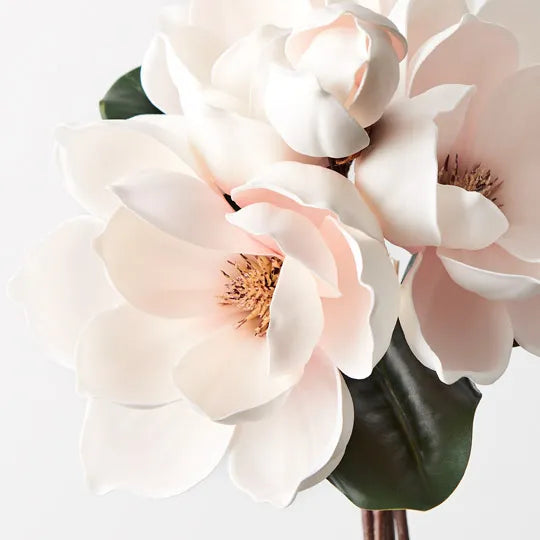 Magnolia Japanese Bouquet Light Pink 35cml