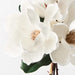 Magnolia Japanese Bouquet White 35cml