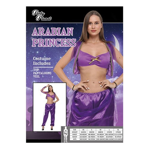 Arabian Costume Princess-L