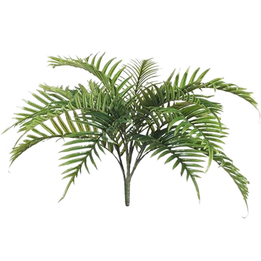 Palm Areca Bush Green 70cml
