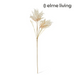 Ronis Pampas Field Grass Decor Spra Cream 30x30x120cm