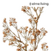 Ronis Popcorn Flower Decor Spray Light Brown 25x12x63cm