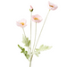 Poppy Iceland Spray Light Pink 60cml