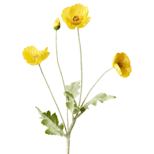 Poppy Iceland Spray Yellow 60cml