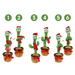 Ronis Sing N Twirl Christmas Cactus 34cm 6 Asstd