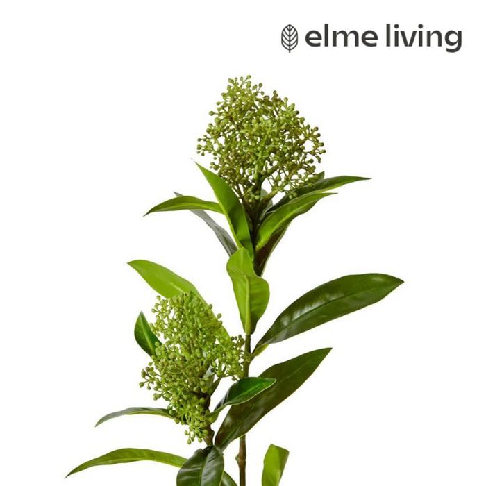 Ronis Skimmia Spray Green 20x14x72cm