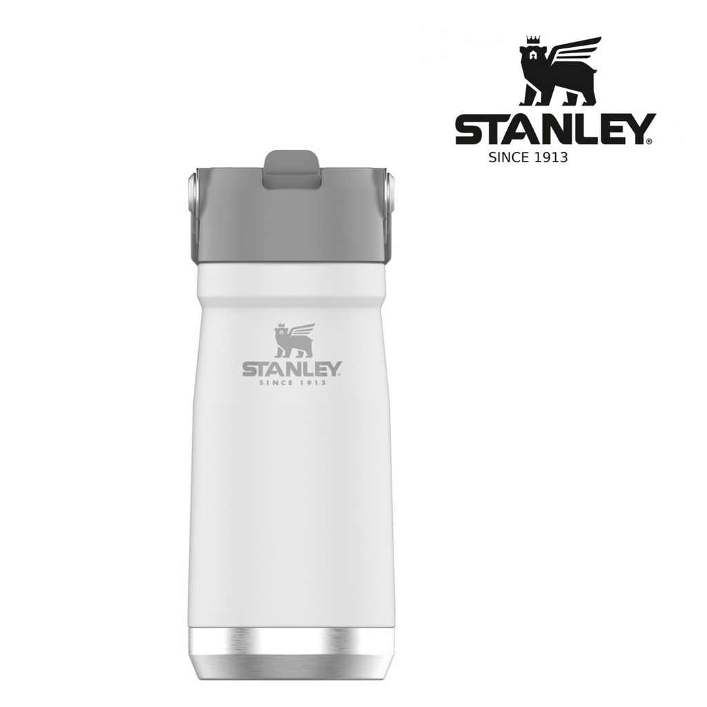 Stanley Ice Flow Water Bottle Tumbler with Straw Comparison I LOVE THEM  BOTH! 