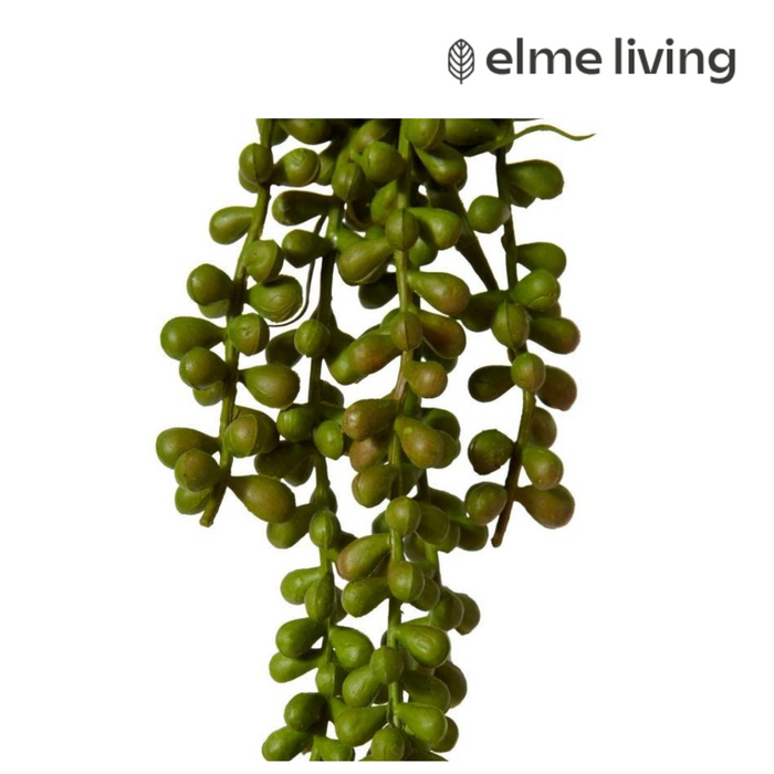 Ronis String of Pearls Hanging Plant Green 8x8x34cm