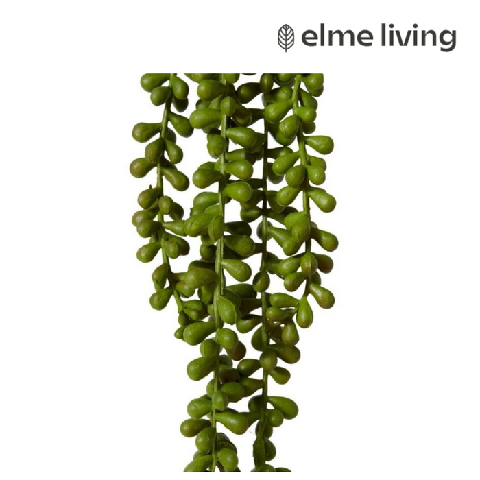 Ronis String of Pearls Hanging Plant Green 8x8x71cm