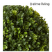 Ronis Topiary Boxwood Ball (Outdoor) Green 32x32x32cm