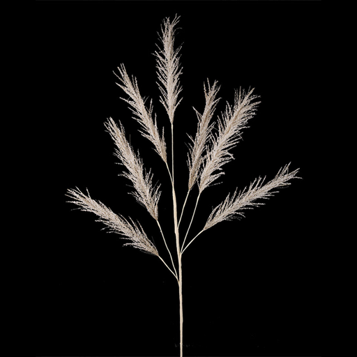 Champagne Pampas Stem 113cm