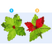 Mean Green Poinsettia Clip Asstd