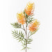 Grevillea Spray Orange Yellow 84cml