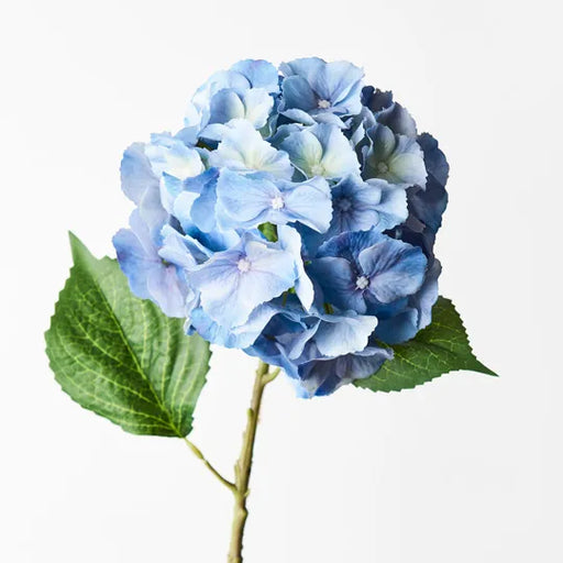 Hydrangea Blue 52cml