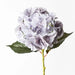 Hydrangea Grey 52cml