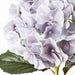 Hydrangea Grey 52cml