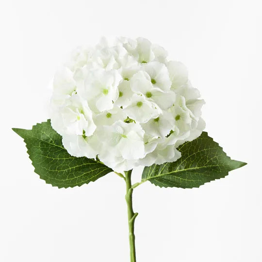 Hydrangea White Green 52cml