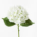 Hydrangea White Green 52cml